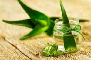 Aloe vera cure cancer