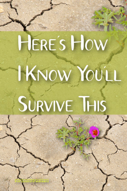 Here\'s How I Know You\'ll Survive This