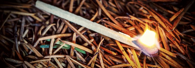 Survival Match on Pine Needles