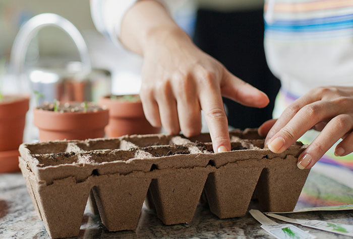 Woman poking holes for her seeds in seed cups.