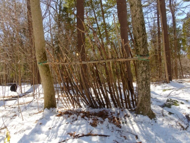 back wall of lean-to shelter