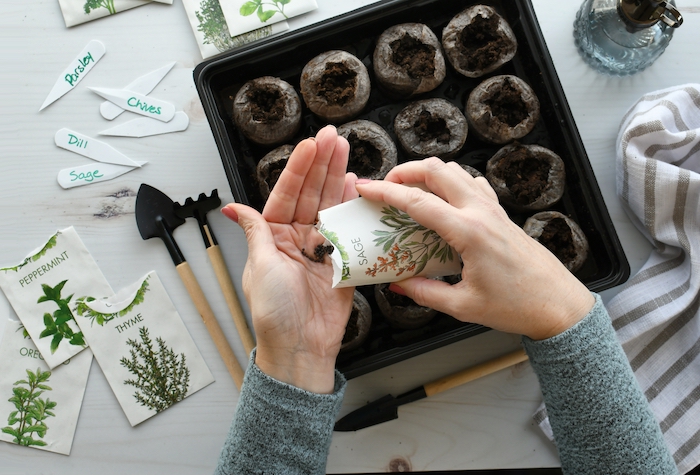 Person planting seeds indoors.