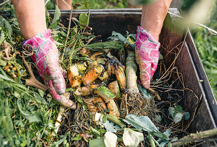 Person turning their compost pile with their hands. 