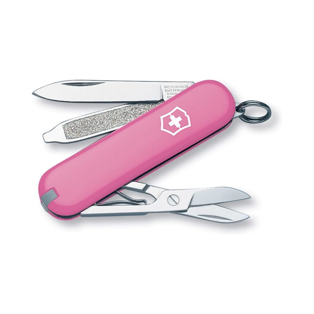 Victorinox Classic SD Pocket Knife