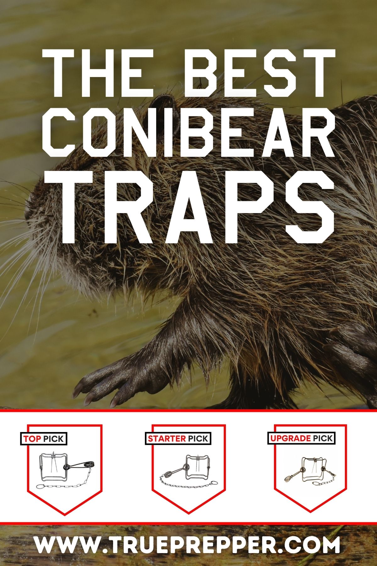 The Best Conibear Traps
