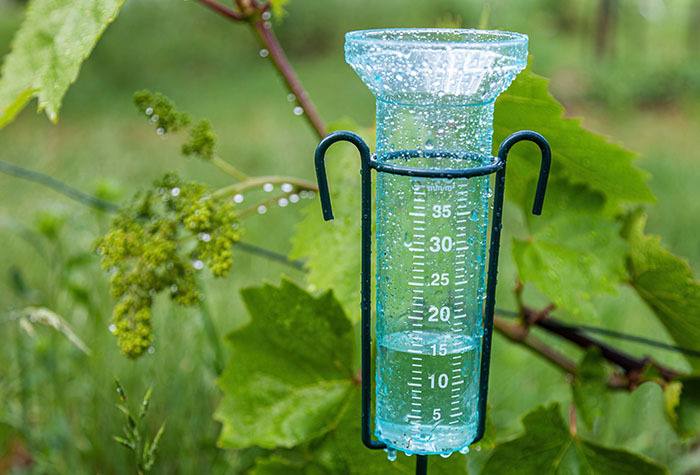 A rain gauge catching rainfall to measure how much water that area receives.