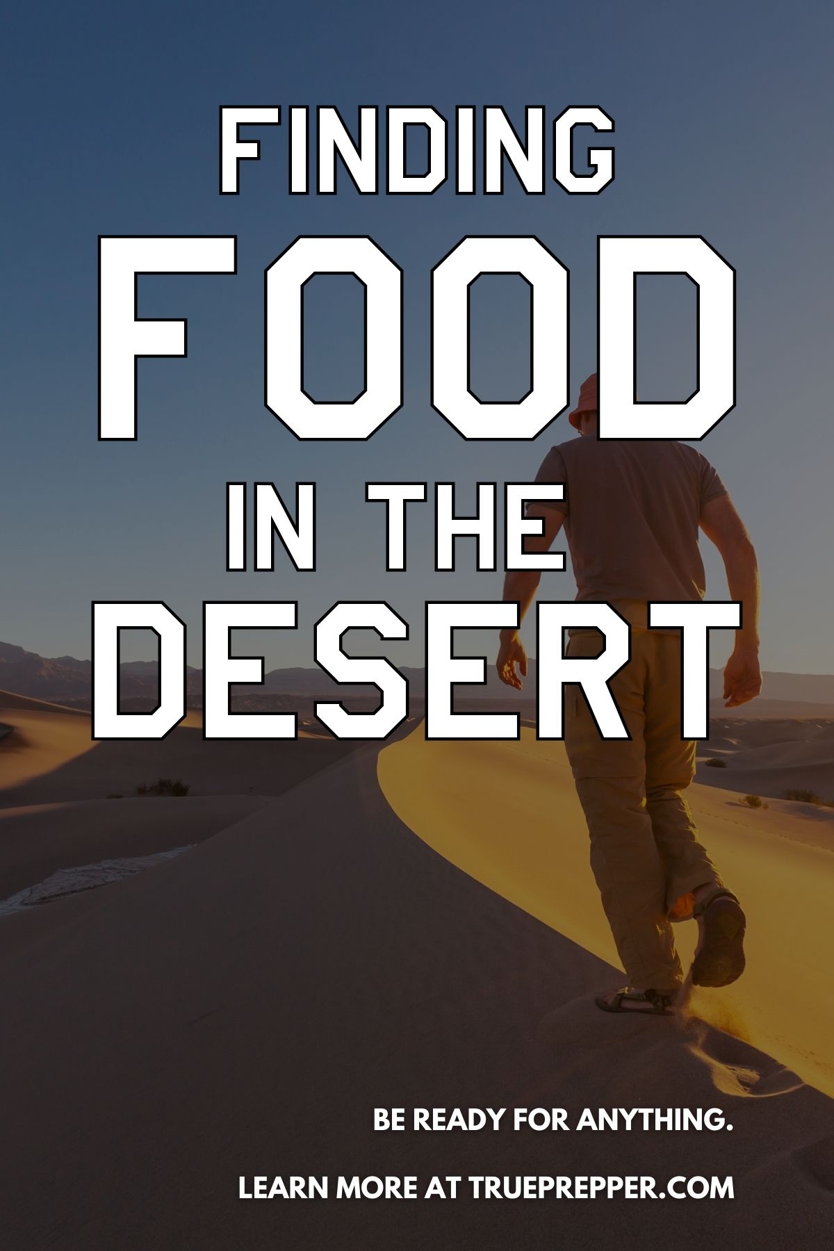 Finding Food in the Desert text over man foraging in the Saharan Desert,