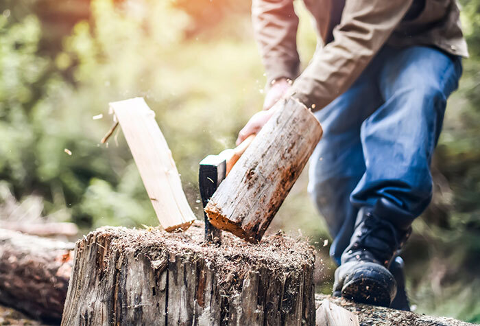 A man chopping firewood on the homestead in preparation for colder weather.