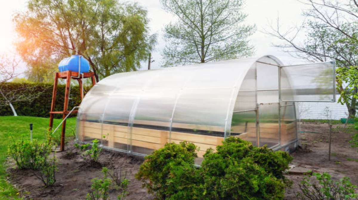 A water tank inside the greenhouse. 