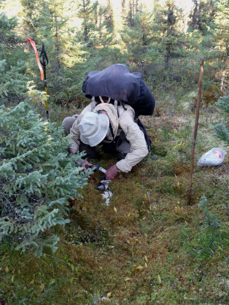 Michael Neiger inspecting an object in moss covered ground.