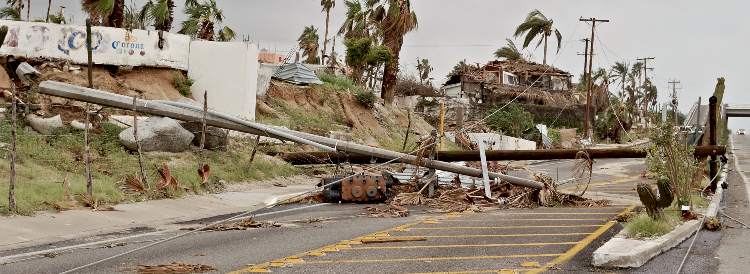 Hurricane Damage Street Blocked