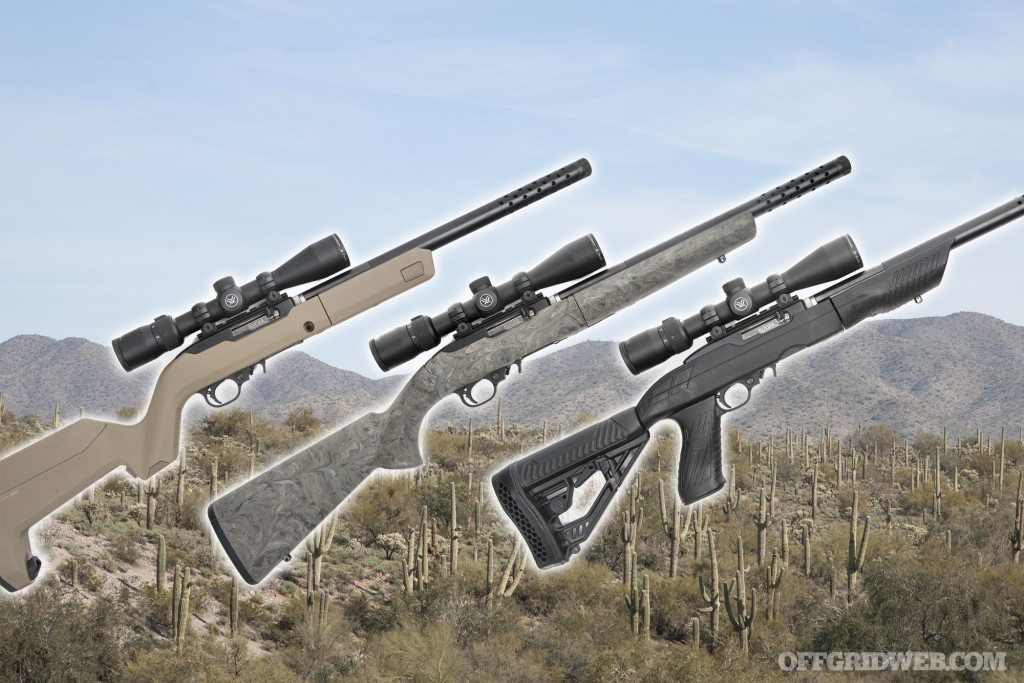 Ruger 1022 takedown rifle stock buyers guide 22lr survival prepper shtf gun 22