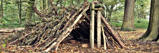 Wilderness Survival Shelter