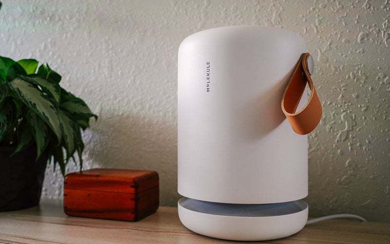 Molekule Air Mini air purifier for pets