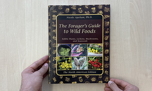The Forager’s Guide To Wild Foods Book Review